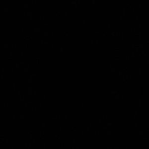 Meet your Posher, Summer